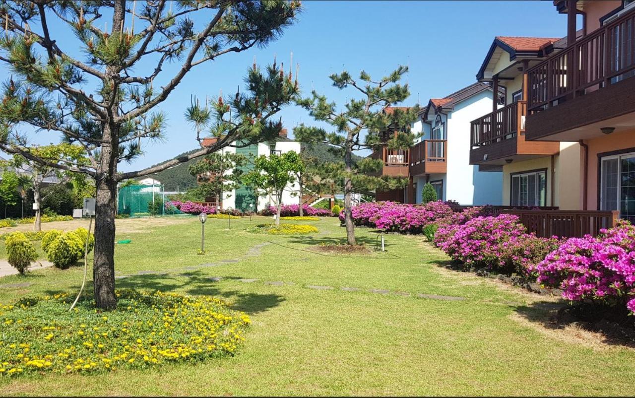 Jeju Time-Travel Pension Dış mekan fotoğraf