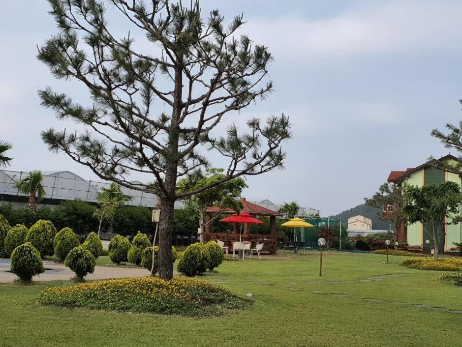 Jeju Time-Travel Pension Dış mekan fotoğraf