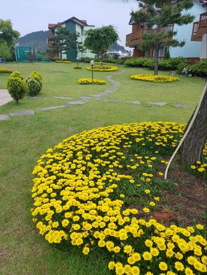 Jeju Time-Travel Pension Dış mekan fotoğraf